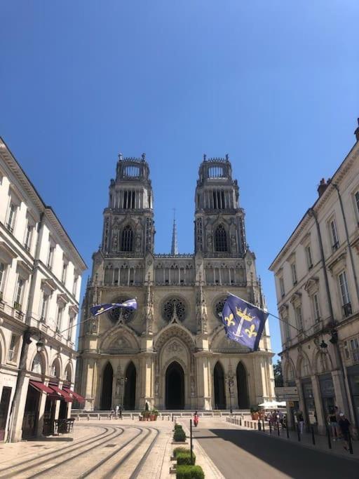 Le Domremy F2 Au Coeur D'Orleans Apartman Kültér fotó